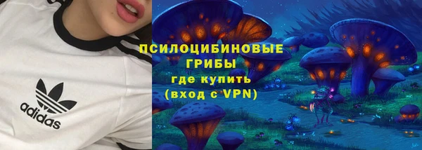 мет Арсеньев