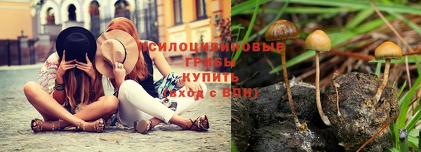МДПВ Армянск