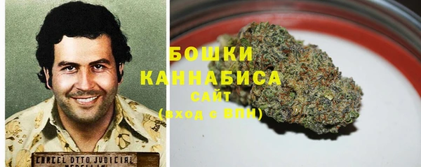 дмт Сатка