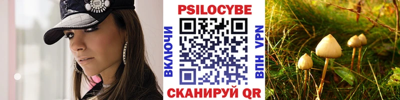 Галлюциногенные грибы Psilocybe Славск