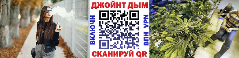 Канабис сатива  Славск 